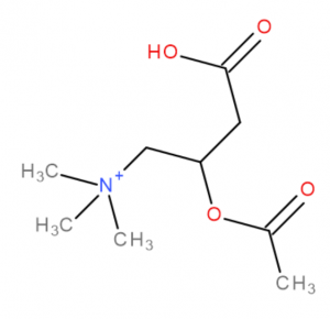 Acetyl-L-karnitin